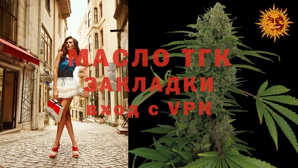 дмт Протвино