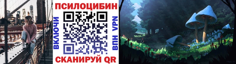 Галлюциногенные грибы MAGIC MUSHROOMS  где можно купить   Соль-Илецк 